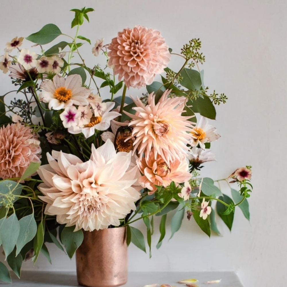 Happy Spring shopping!